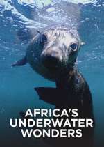 Watch Africa's Underwater Wonders 9Movies