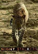 Watch Night Stalkers 9Movies