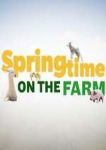 Watch Springtime on the Farm 9Movies