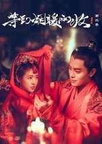 Watch Buried City to Shut All Lights 9Movies