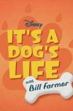 Watch It\'s a Dog\'s Life with Bill Farmer 9Movies