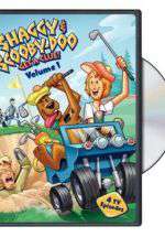 Watch Shaggy & Scooby-Doo Get a Clue 9Movies