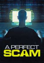 Watch A Perfect Scam 9Movies