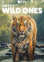Watch The Wild Ones 9Movies