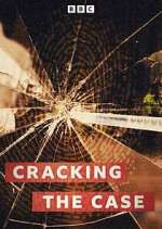 Watch Cracking the Case 9Movies
