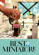 Watch Best in Miniature 9Movies