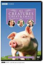 Watch All Creatures Great and Small 9Movies