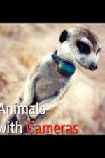 Watch Animals with Cameras 9Movies