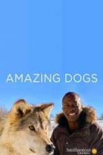 Watch Amazing Dogs 9Movies