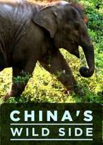 Watch China's Wild Side 9Movies