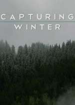 Watch Capturing Winter 9Movies