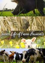 Watch Secret Life of Farm Animals 9Movies