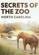Watch Secrets of the Zoo: North Carolina 9Movies