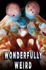 Watch Wonderfully Weird 9Movies