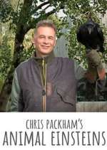 Watch Chris Packham's Animal Einsteins 9Movies