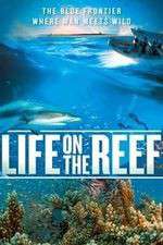 Watch Life on the Reef 9Movies