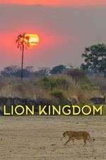 Watch Lion Kingdom 9Movies