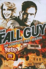 Watch The Fall Guy 9Movies