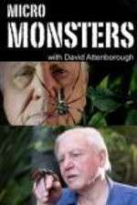 Watch Micro Monsters 3D with David Attenborough 9Movies