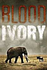 Watch Blood Ivory 9Movies