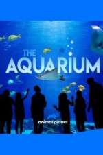 Watch The Aquarium 9Movies