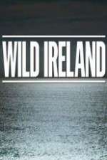 Watch Wild Ireland 9Movies
