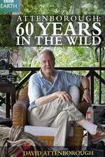 Watch Attenborough 60 Years in the Wild 9Movies
