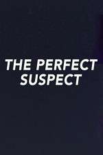 Watch The Perfect Suspect 9Movies