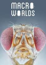 Watch Macro Worlds 9Movies