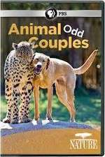 Watch Animal Odd Couples 9Movies