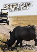 Watch Secret Safari: Into the Wild 9Movies