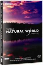 Watch The Natural World 9Movies