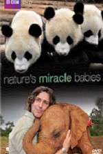 Watch Natures Miracle Babies 9Movies