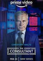 Watch The Consultant 9Movies