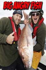 Watch Big Angry Fish 9Movies