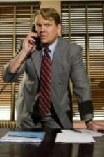 Watch Andy Barker, P.I. 9Movies