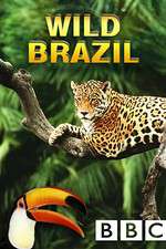 Watch Wild Brazil 9Movies