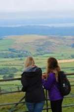 Watch Walks of Life 9Movies