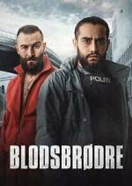 Watch Blodsbrødre 9Movies