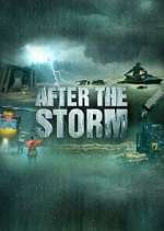 Watch After the Storm 9Movies