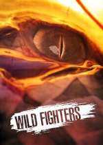 Watch Wild Fighters 9Movies