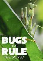 Watch Bugs that Rule the World 9Movies