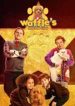 Watch Waffle\'s After School Club 9Movies