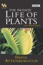 Watch The Private Life of Plants 9Movies