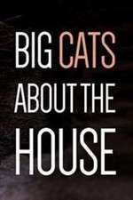 Watch Big Cats About the House 9Movies
