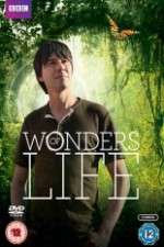 Watch Wonders Of Life 9Movies