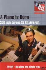 Watch A Plane Is Born 9Movies