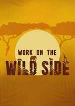 Watch Work on the Wild Side 9Movies