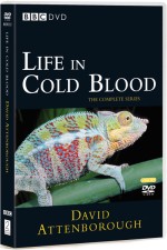 Watch Life in Cold Blood 9Movies