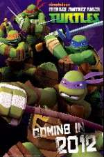 Watch Teenage Mutant Ninja Turtles 9Movies